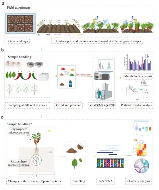 英国威廉希尔公司