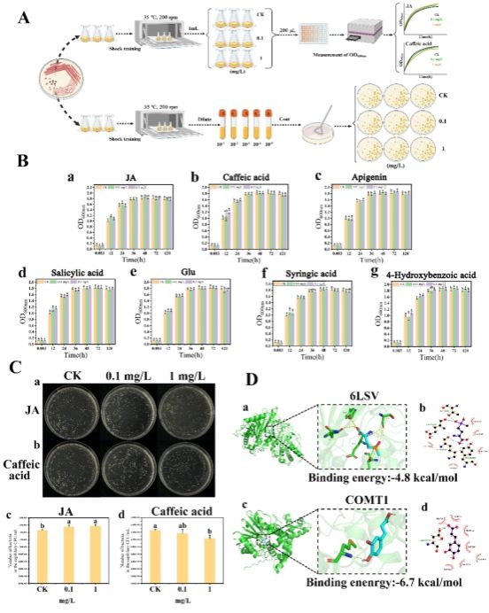 英国威廉希尔公司
