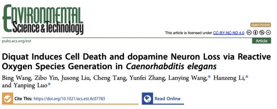 英国威廉希尔公司