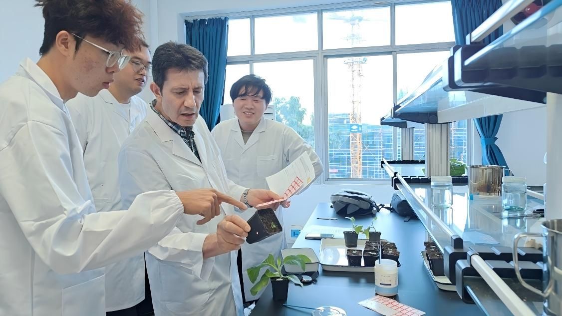 英国威廉希尔公司