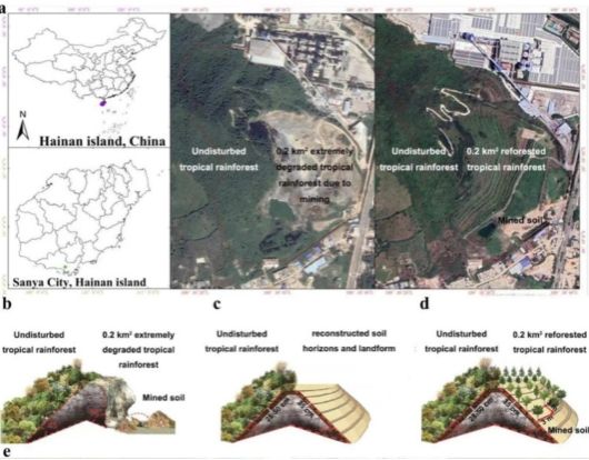 英国威廉希尔公司